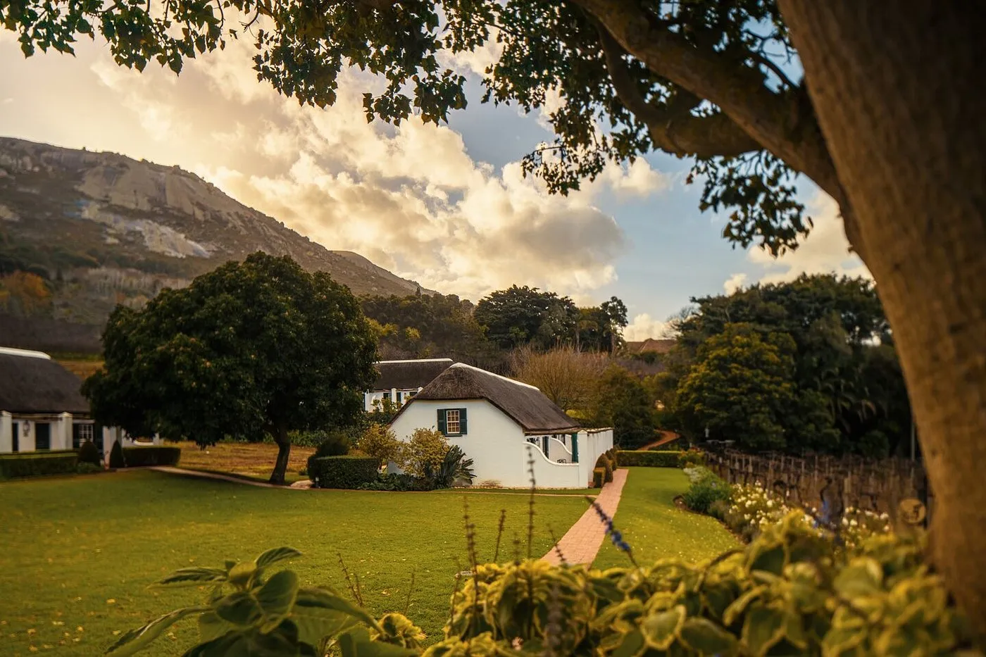 Grande Roche - 11